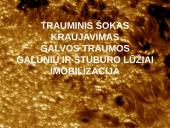 Nušalimas, sušalimas 12 puslapis