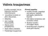 Nušalimas, sušalimas 17 puslapis