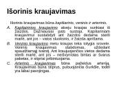 Nušalimas, sušalimas 18 puslapis