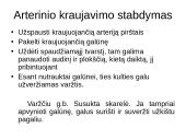 Nušalimas, sušalimas 19 puslapis