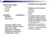 Nušalimas, sušalimas 3 puslapis