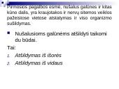 Nušalimas, sušalimas 5 puslapis