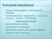 Organizacijos kompetencija 2 puslapis