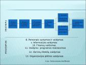 Organizacijos kompetencija 17 puslapis