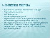 Organizacijos kompetencija 4 puslapis