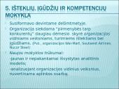 Organizacijos kompetencija 8 puslapis