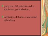 Paciento diabetinės pėdos slauga 10 puslapis