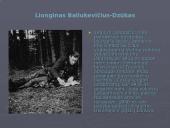 Pagrindiniai rezistencijos dalyviai 10 puslapis