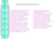 Paskalis. Loginiai duomenys 2 puslapis