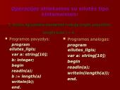 Paskalis. Loginiai duomenys 19 puslapis