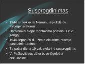 Petrašiūnų šiluminė elektrinė 11 puslapis