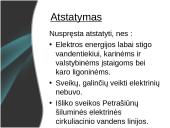 Petrašiūnų šiluminė elektrinė 13 puslapis
