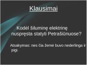 Petrašiūnų šiluminė elektrinė 17 puslapis
