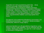 Pietų Amerikos žemynas 11 puslapis