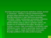 Pietų Amerikos žemynas 14 puslapis