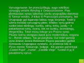 Pietų Amerikos žemynas 16 puslapis