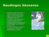 Pietų Amerikos žemynas 6 puslapis