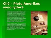 Pietų Amerikos žemynas 7 puslapis