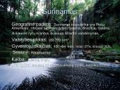 Plačiai apie Pietų Ameriką 15 puslapis