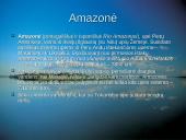 Plačiai apie Pietų Ameriką 19 puslapis