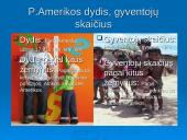 Plačiai apie Pietų Ameriką 4 puslapis