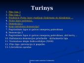 Piko liga: prevencija ir pagalba 2 puslapis