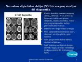 Piko liga: prevencija ir pagalba 13 puslapis