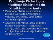 Piko liga: prevencija ir pagalba 5 puslapis