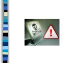 Piratavimas internete 13 puslapis