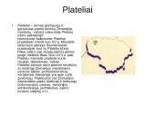 Plateliai. Nacionalinis Žemaitijos parkas 2 puslapis