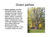 Plateliai. Nacionalinis Žemaitijos parkas 3 puslapis