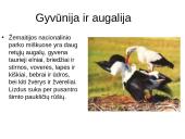 Plateliai. Nacionalinis Žemaitijos parkas 7 puslapis