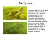 Plateliai. Nacionalinis Žemaitijos parkas 8 puslapis
