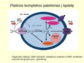 Platinos priešvėžiniai vaistai 7 puslapis