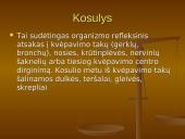 Populiariausios ligos Ignalinos rajano gimnazijoje 7 puslapis