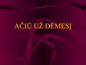 Priešegzamininio streso valdymas 11 puslapis