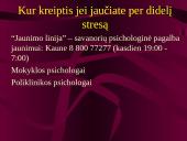 Priešegzamininio streso valdymas 10 puslapis