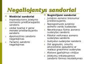 Prievolės. Sutartys 18 puslapis