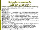 Prievolės. Sutartys 8 puslapis