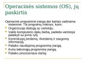 Programinė įranga ir operacinės sistemos 2 puslapis