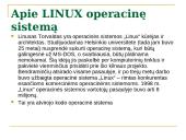 Programinė įranga ir operacinės sistemos 11 puslapis
