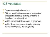 Programinė įranga ir operacinės sistemos 12 puslapis