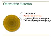 Programinė įranga ir operacinės sistemos 14 puslapis