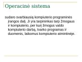 Programinė įranga ir operacinės sistemos 3 puslapis