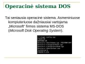 Programinė įranga ir operacinės sistemos 9 puslapis