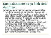 Programinė įranga ir operacinės sistemos 10 puslapis