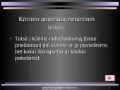 Programinės įrangos, duomenų ir intelektinės nuosavybės teisinė apsauga 12 puslapis