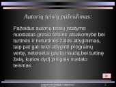 Programinės įrangos, duomenų ir intelektinės nuosavybės teisinė apsauga 17 puslapis