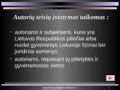 Programinės įrangos, duomenų ir intelektinės nuosavybės teisinė apsauga 4 puslapis