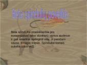 Radioaktyvumas ir atomo sandara 8 puslapis